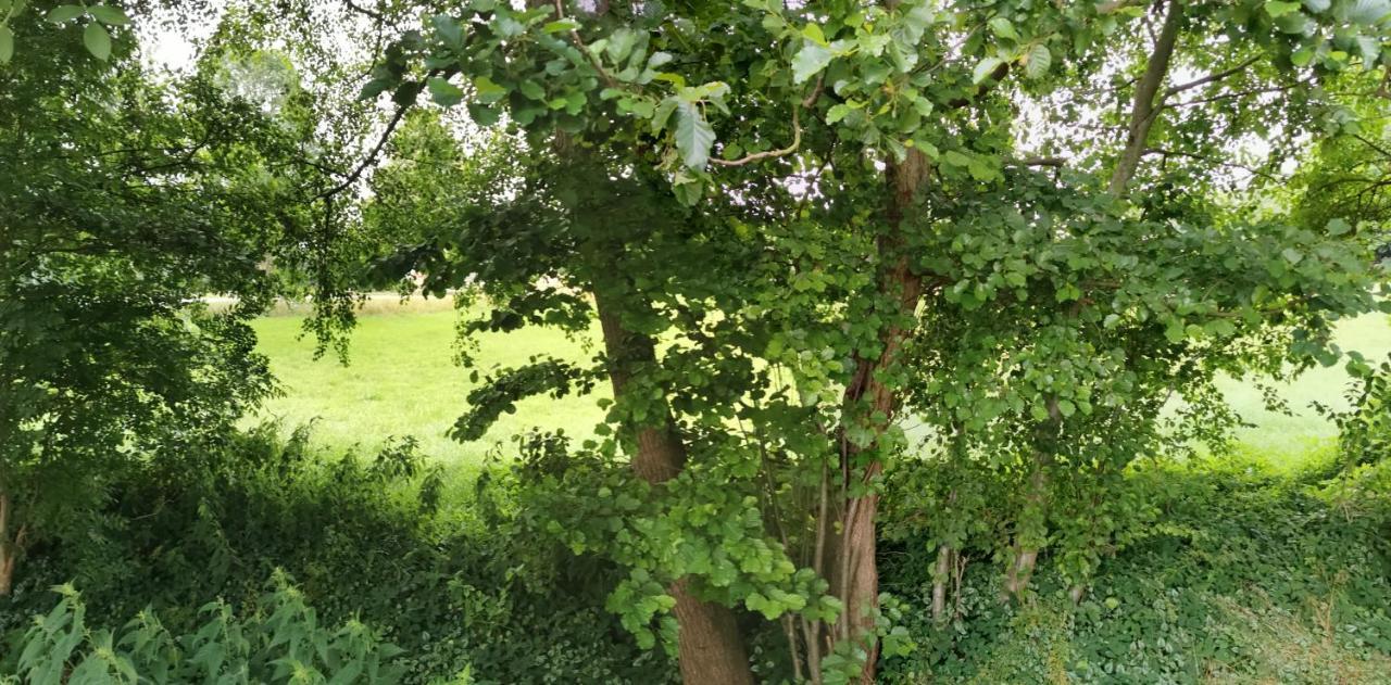 Gemütliches Ferienhaus An der Schilde Renzow Exterior foto